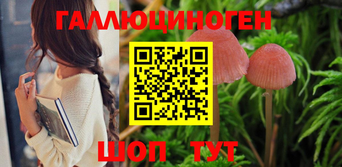 Галлюциногенные грибы GOLDEN TEACHER Можайск